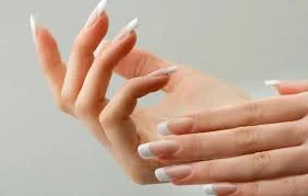 صورة 1